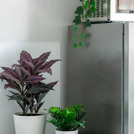 Oasis, Near The Center By Rentmonkey